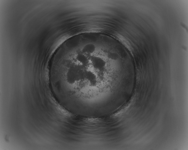 X0000093370835200710111435
