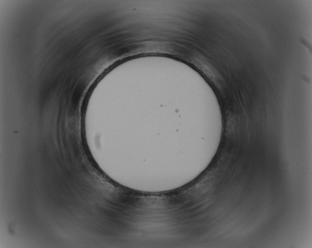 X0000093370836200710111435