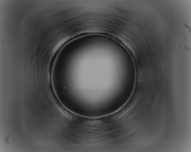 X0000093370837200710111435