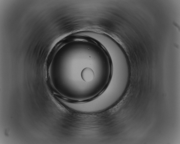 X0000093370838200710111435