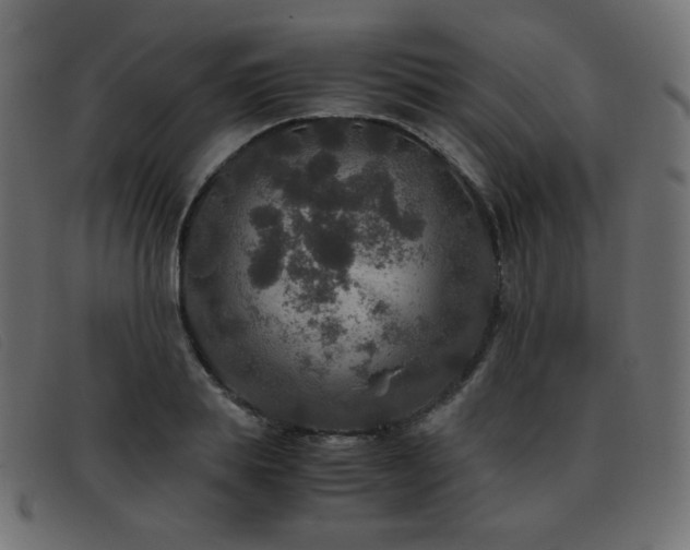 X0000093370839200710111435