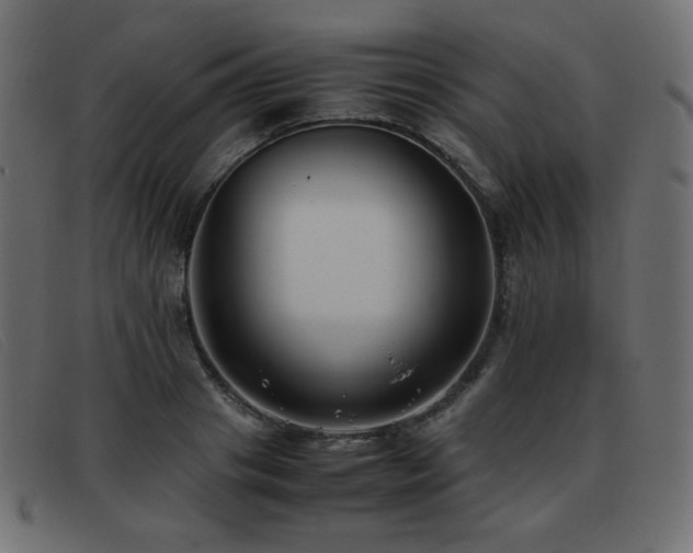 X0000093370841200710111435