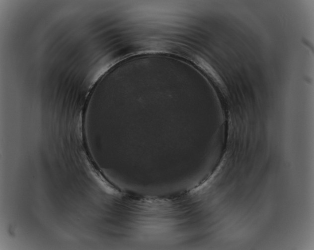 X0000093370842200710111435