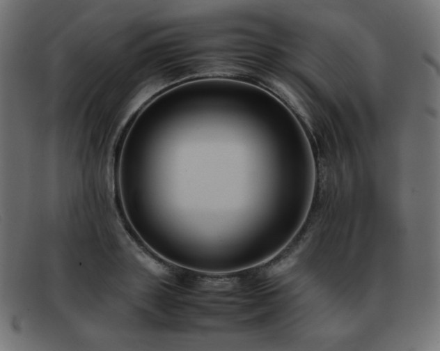 X0000093370843200710111435
