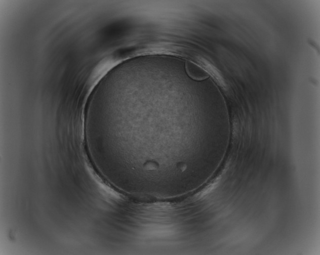 X0000093370844200710111435