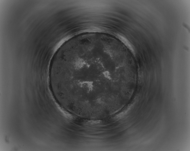 X0000093370845200710111435