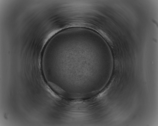 X0000093370846200710111435