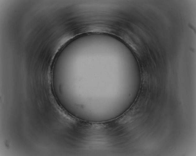 X0000093370848200710111435