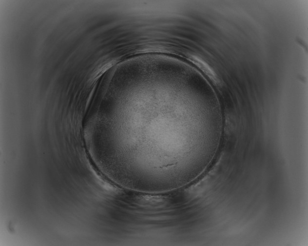 X0000093370849200710111435