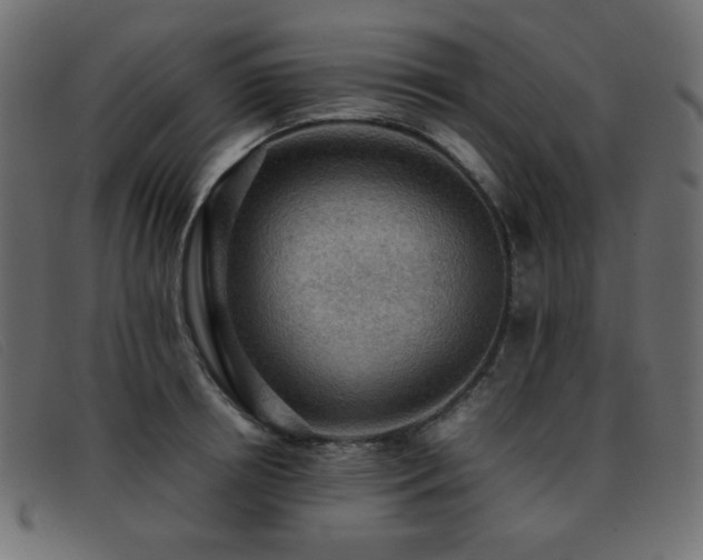 X0000093370850200710111435