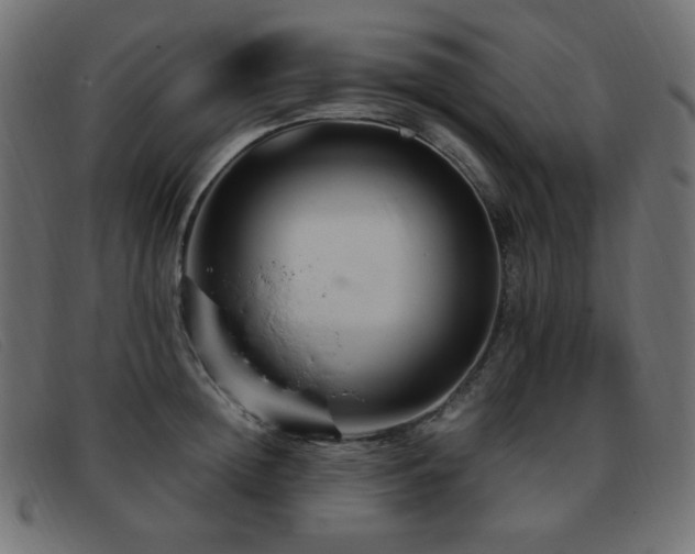 X0000093370852200710111435