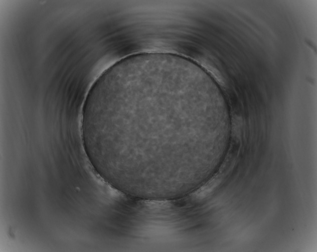 X0000093370856200710111435