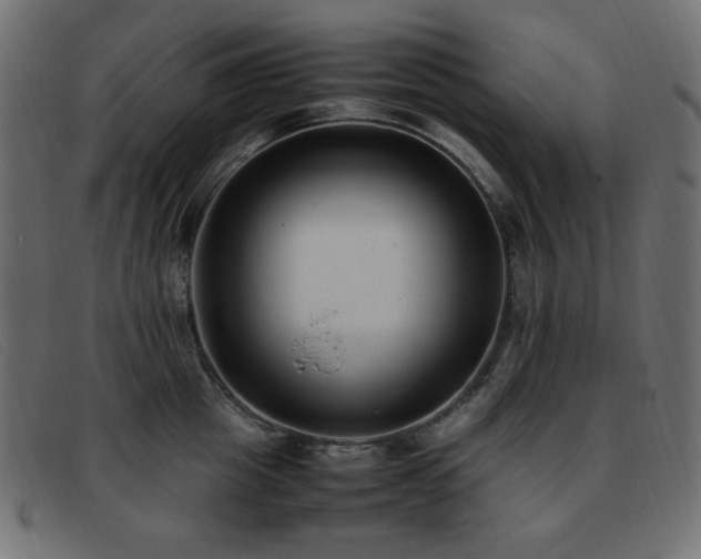 X0000093370857200710111435