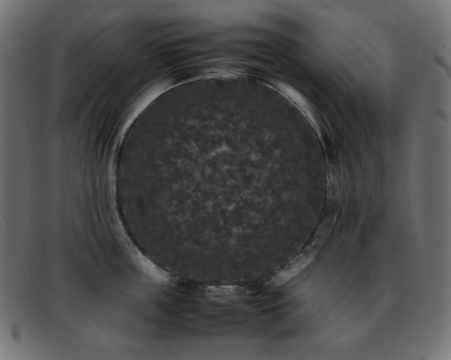 X0000093370859200710111435