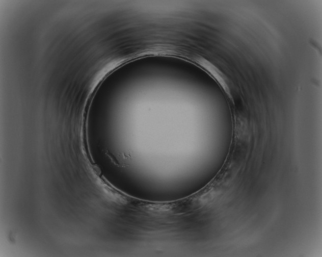 X0000093370861200710111435