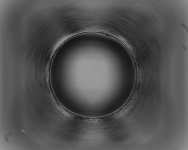X0000093370862200710111435