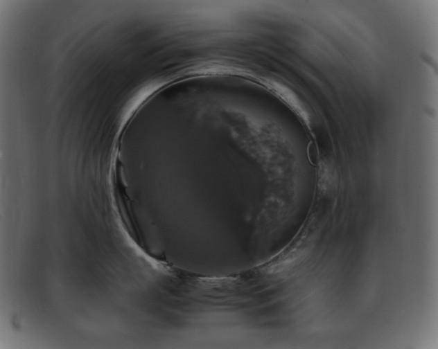 X0000093370863200710111435