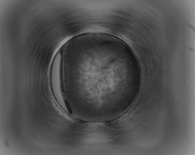 X0000093370864200710111435