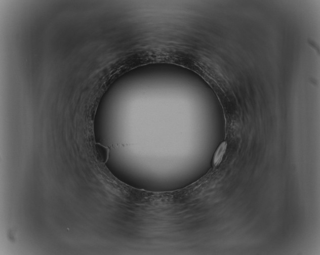 X0000093370865200710111435