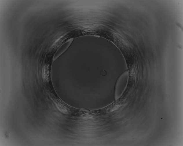 X0000093370868200710111435