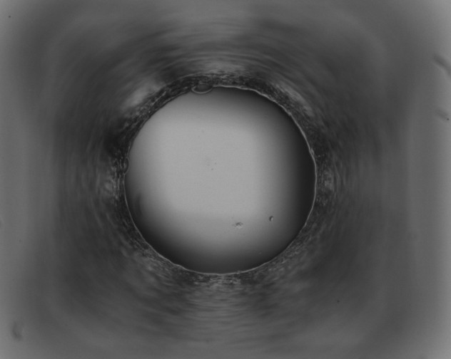 X0000093370869200710111435