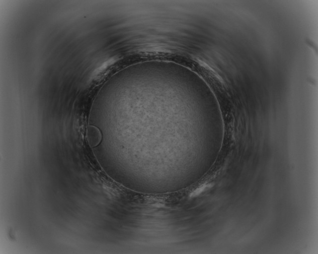X0000093370870200710111434