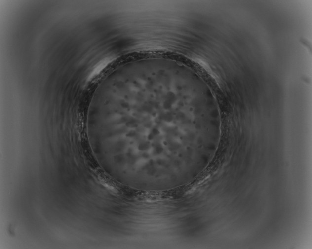 X0000093370871200710111434