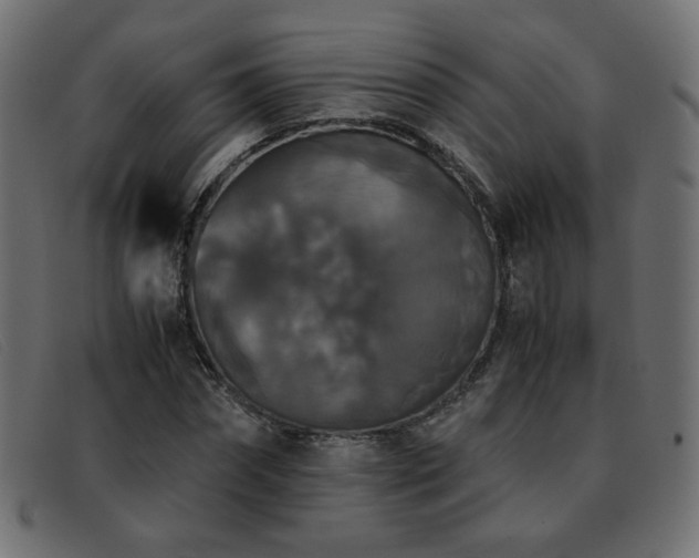X0000093370874200710111434