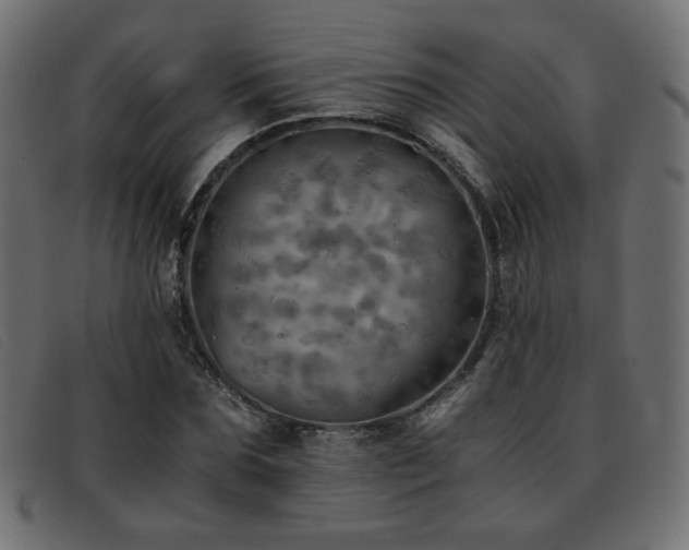 X0000093370875200710111434