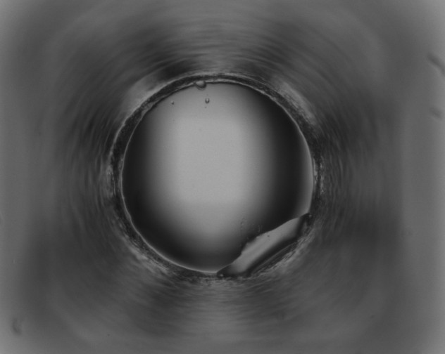 X0000093370876200710111434