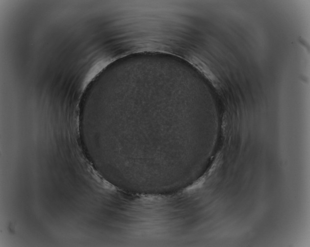 X0000093370877200710111434