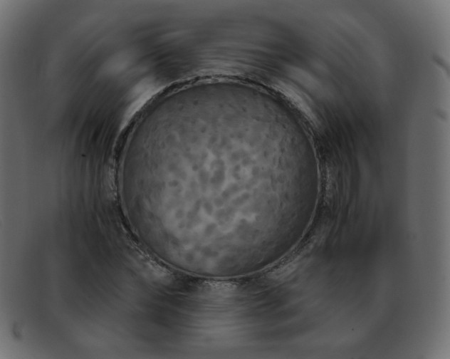 X0000093370878200710111434