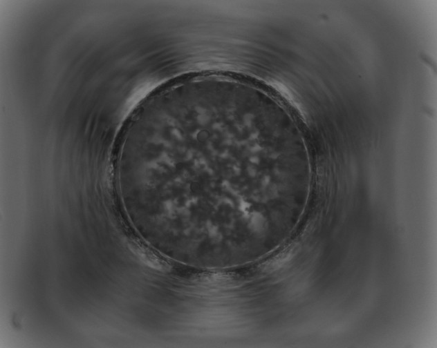 X0000093370879200710111434