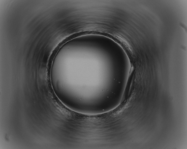 X0000093370880200710111434