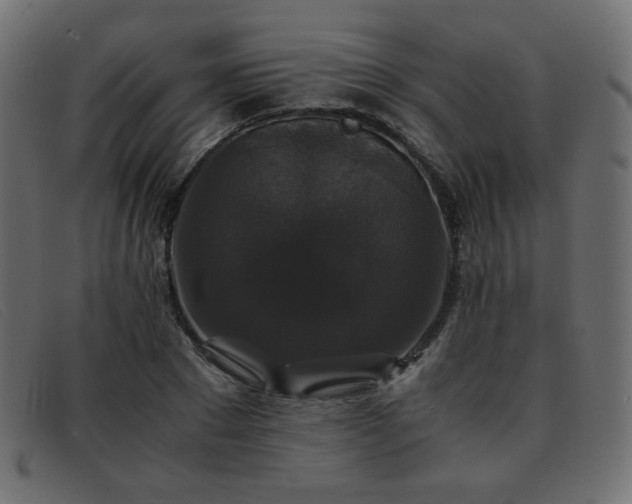 X0000093370881200710111434