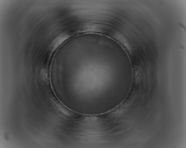 X0000093370882200710111434