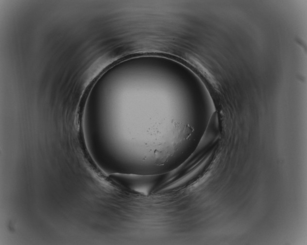 X0000093370885200710111434