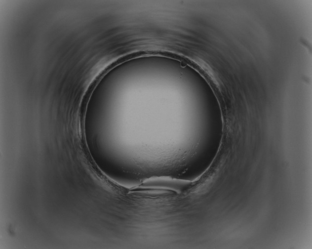 X0000093370887200710111434