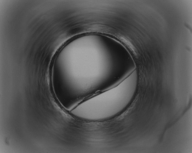 X0000093370888200710111434