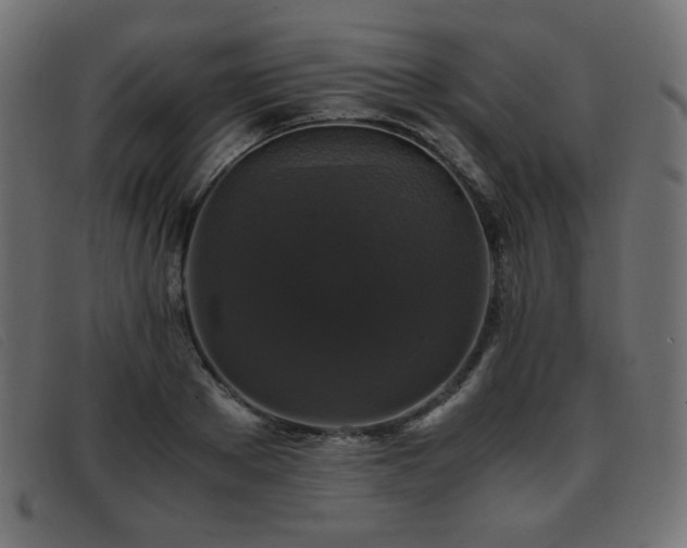 X0000093370889200710111434