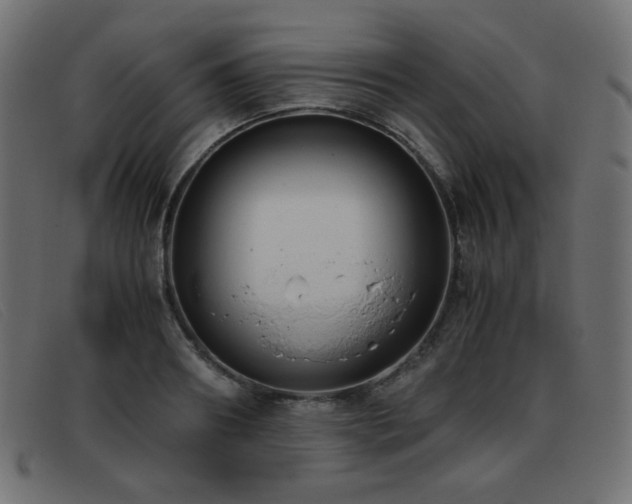 X0000093370890200710111434