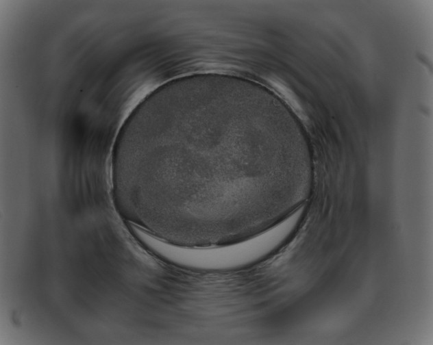 X0000093370891200710111434