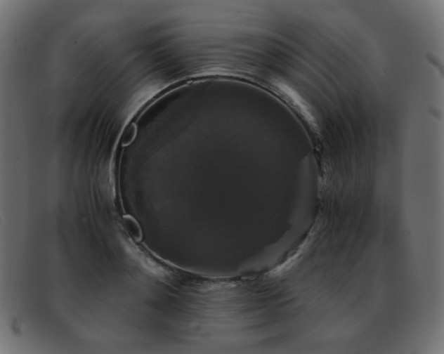 X0000093370892200710111434