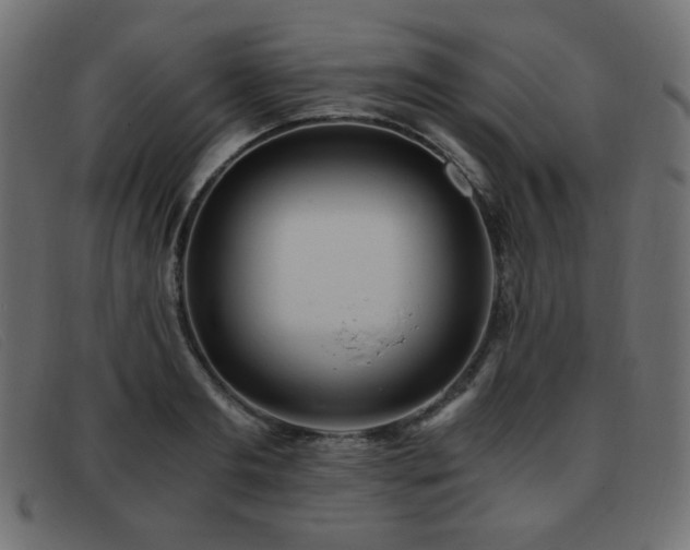 X0000093370893200710111434