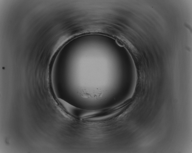 X0000093370894200710111434