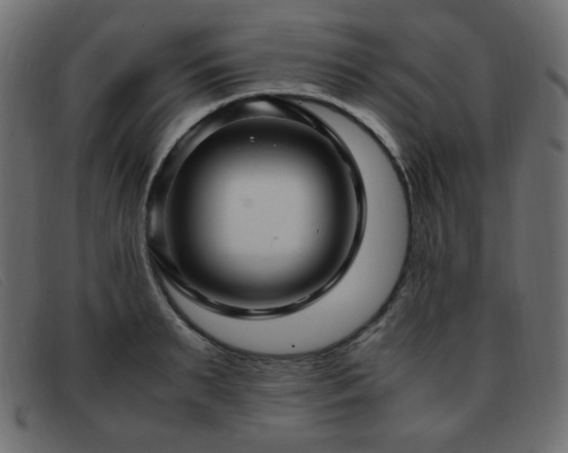 X0000093370895200710111434