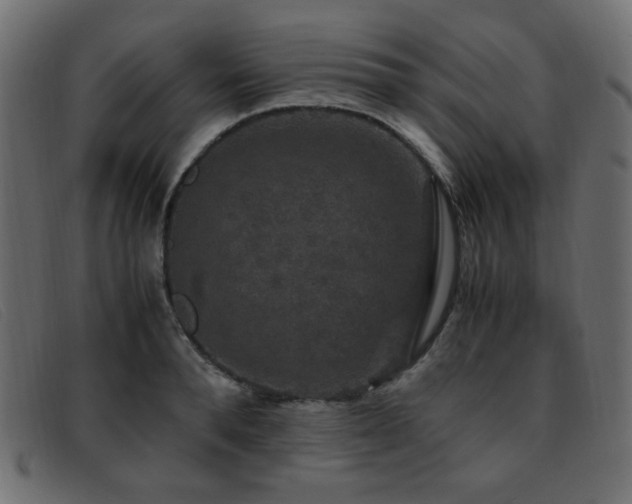 X0000093370896200710111434