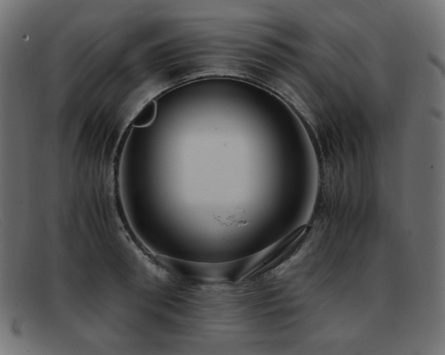 X0000093370898200710111434