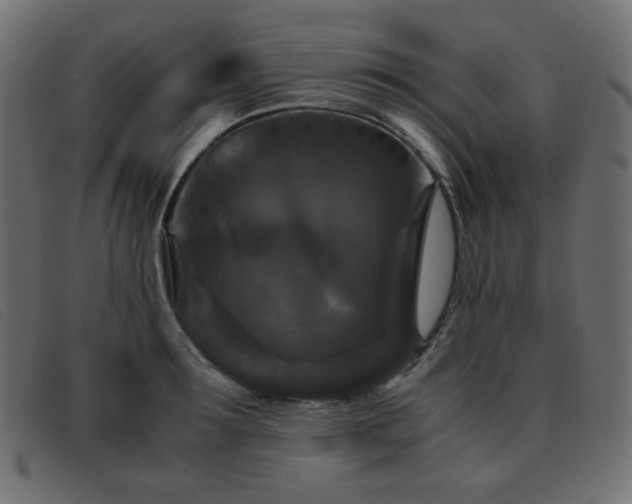 X0000093370899200710111434