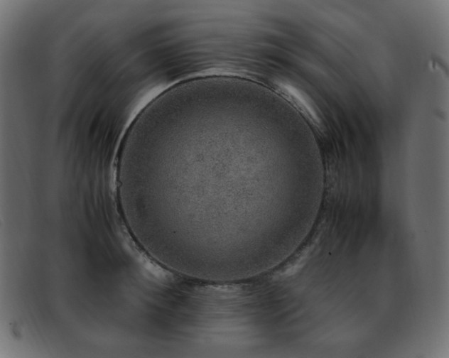 X0000093370900200710111434
